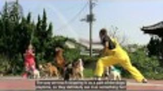 Watch and Smile As Thirteen Dogs Jump Rope At The Same Time